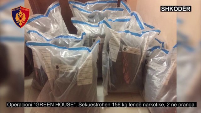 Report TV - Shkodër, sekuestrohen 156 kg kanabis, arrestohen 2 persona