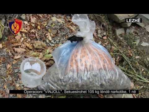 105 kg kanabis pranë shtëpisë, një në pranga e një tjetër në kërkim