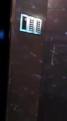 Halloween, altro che "dolcetto o scherzetto" ad Andria i ragazzini lanciano uova e spari