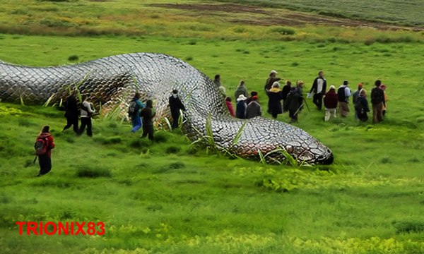 ANACONDAS GIGANTES REALES: Anacondas mas grandes del mundo – Animales salvajes