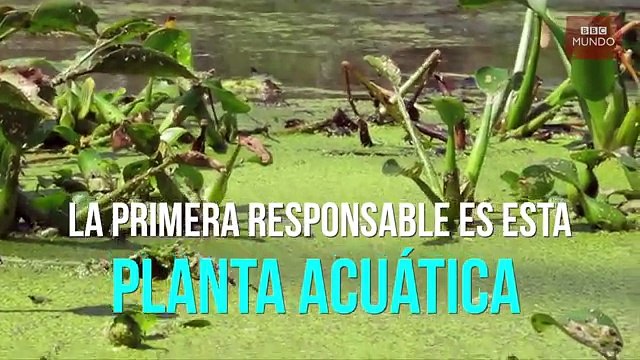 ¿Por qué el agua del grifo en Venezuela suele salir tan sucia?