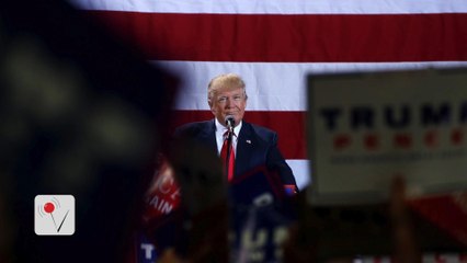 Trump is Allegedly Refusing to Pay His Campaign Pollster $767,000