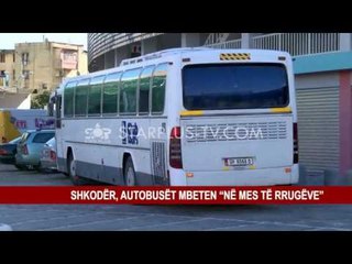 SHKODËR, AUTOBUSËT MBETEN “NË MES TË RRUGËVE”