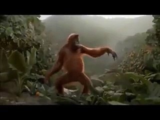 Monkey Dancing On Imran Khan Song - DJ Butt