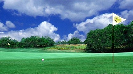 02. MIŚ BERNARD - GOLF