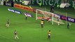 Relembre belo gol de Wagner pelo Fluminense