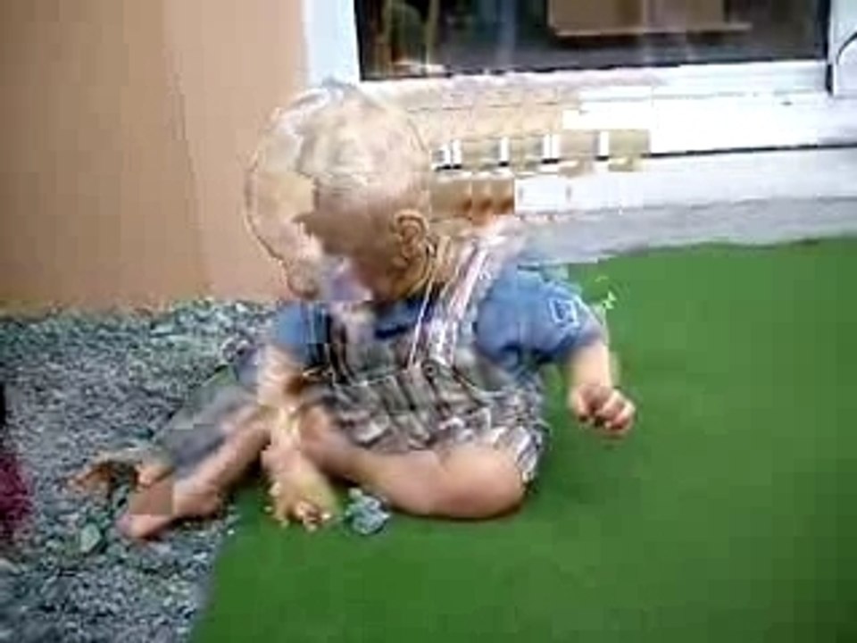 Léo et les petits cailloux