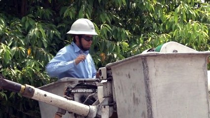 Empresarios piden el cierre de la ENEE