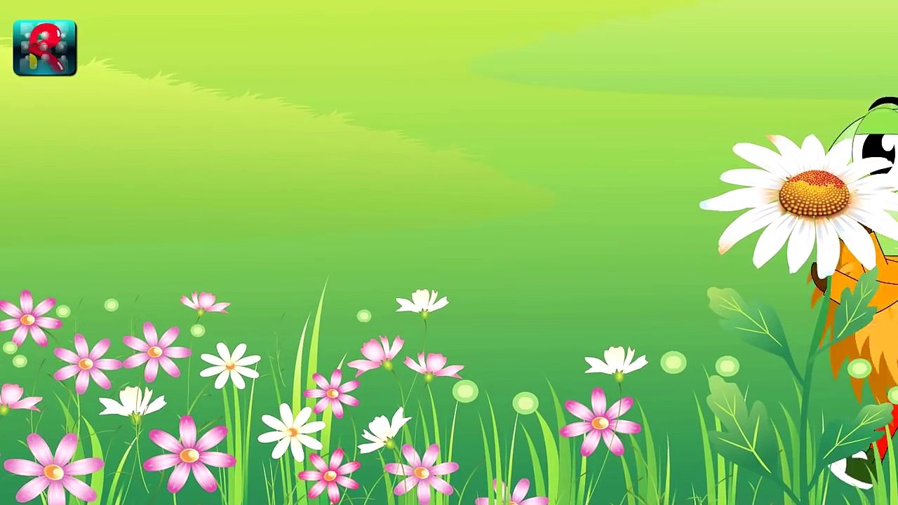 Itsy Bitsy Spider - Incy Wincy Spider Song For kids