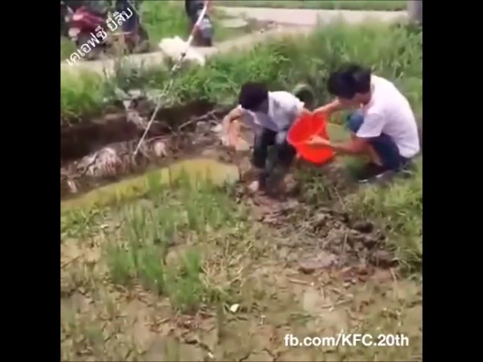 Funny Videos 2016 ★ Best Whatsapp Funny Videos ★ Try Not To Laugh