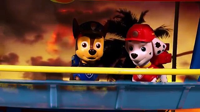 Paw Patrol Hello kitty, Chase, Marcus et Zuma, Chasse aux trésors | Paw Patrol Dessin animé Francais