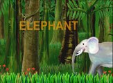 The Alphabet Letter E - E is for Elephant