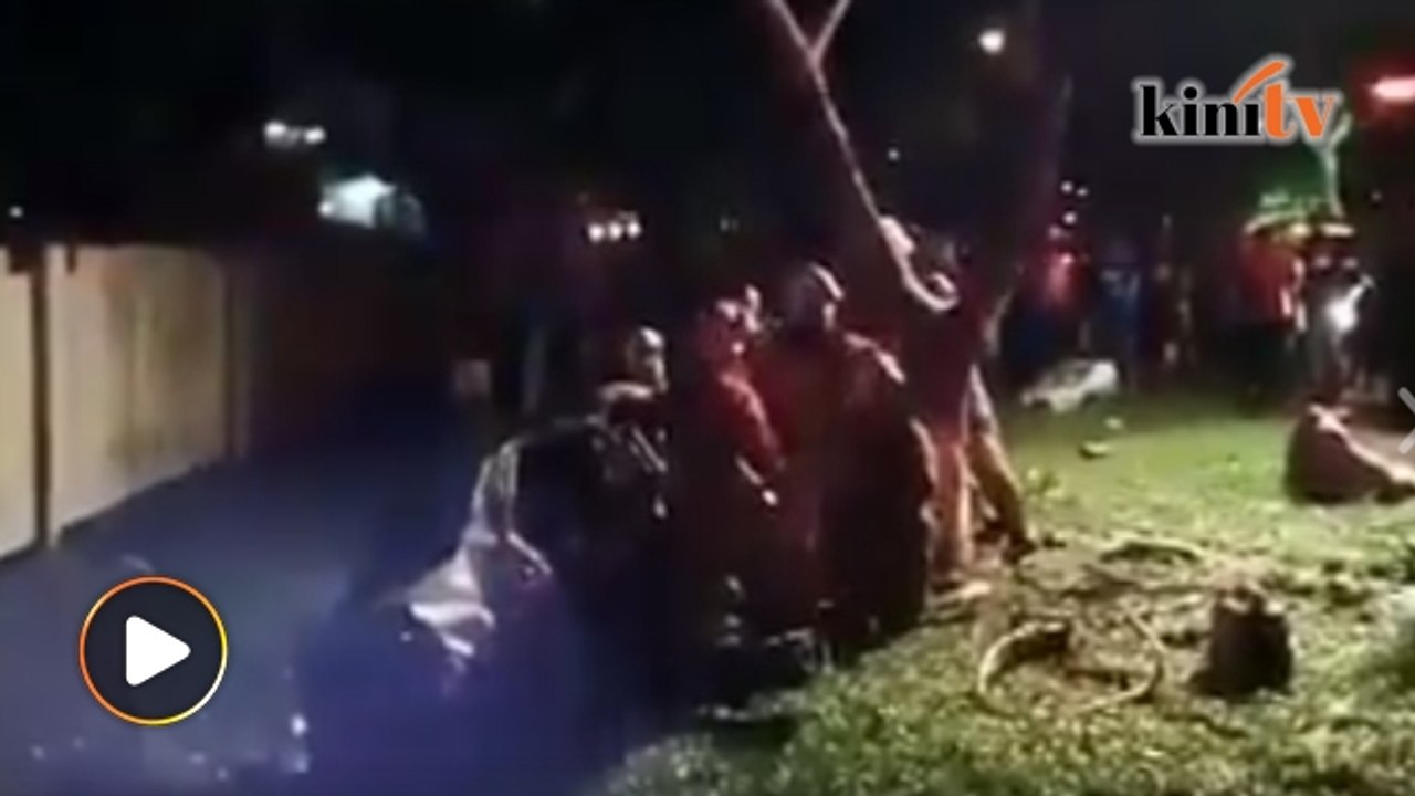 2 maut kereta terbabas rempuh pokok