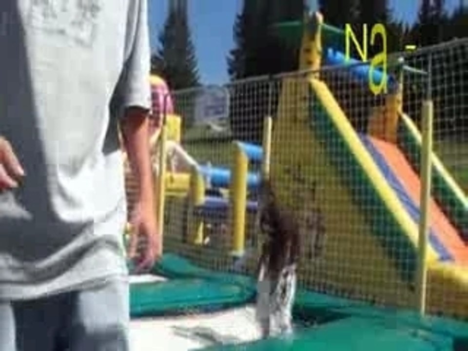 Trampoline 2007
