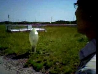 SV_A0046