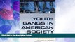 Big Deals  Youth Gangs in American Society (Contemporary Issues in Crime and Justice Series)  Best