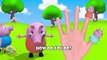 Peppa Pig 3D Finger Family | Nursery Rhymes | 3D Animation In HD From Binggo Channel
