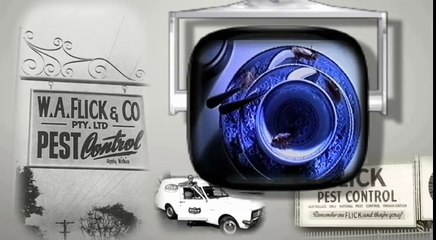 Flick Pest Control Sydney