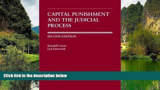 Big Deals  Capital Punishment and the Judicial Process (Carolina Academic Press Law Casebook