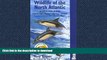 FAVORIT BOOK Wildlife of the North Atlantic: A Cruising Guide (Bradt Travel Guide Wildlife of the