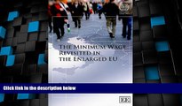 Big Deals  The Minimum Wage Revisited in the Enlarged EU  Best Seller Books Most Wanted
