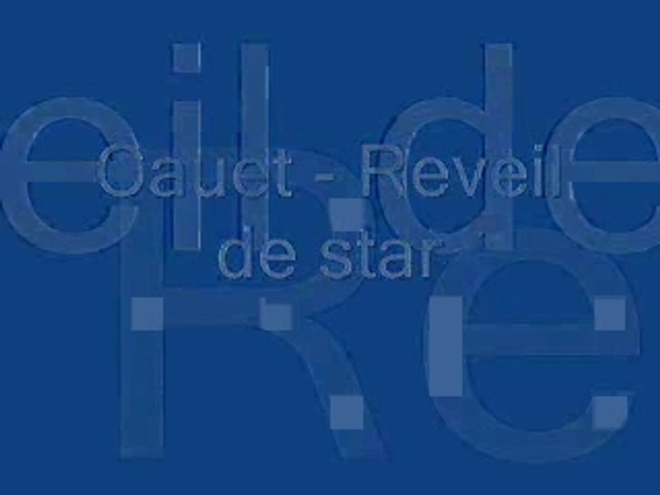 Cauet : reveil de star - le diner de cons 2