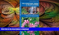 READ THE NEW BOOK Yellowstone Trees   Wildflowers: A Folding Pocket Guide to Familiar Species of