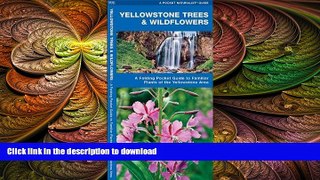 READ THE NEW BOOK Yellowstone Trees   Wildflowers: A Folding Pocket Guide to Familiar Species of
