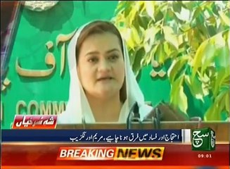News Bulletin 09am 01 November  2016 SuchTV