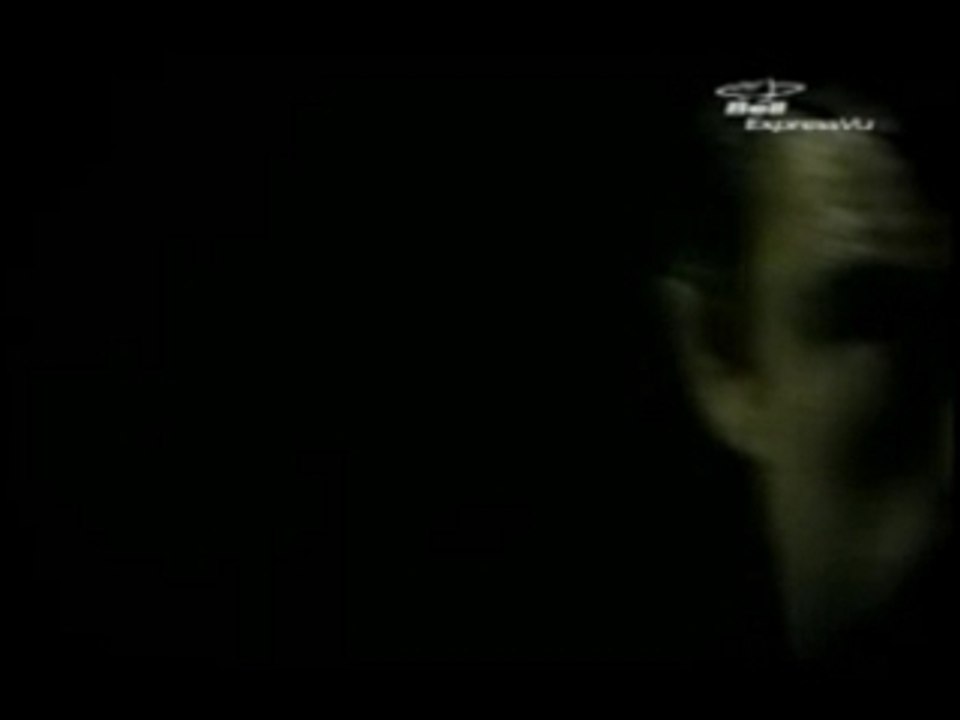 Vitor Belfort Highlights!