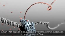 Earth - The secret of how life on Earth began_2