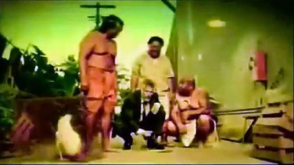 The Most Interesting Man In The World ~ Compilation