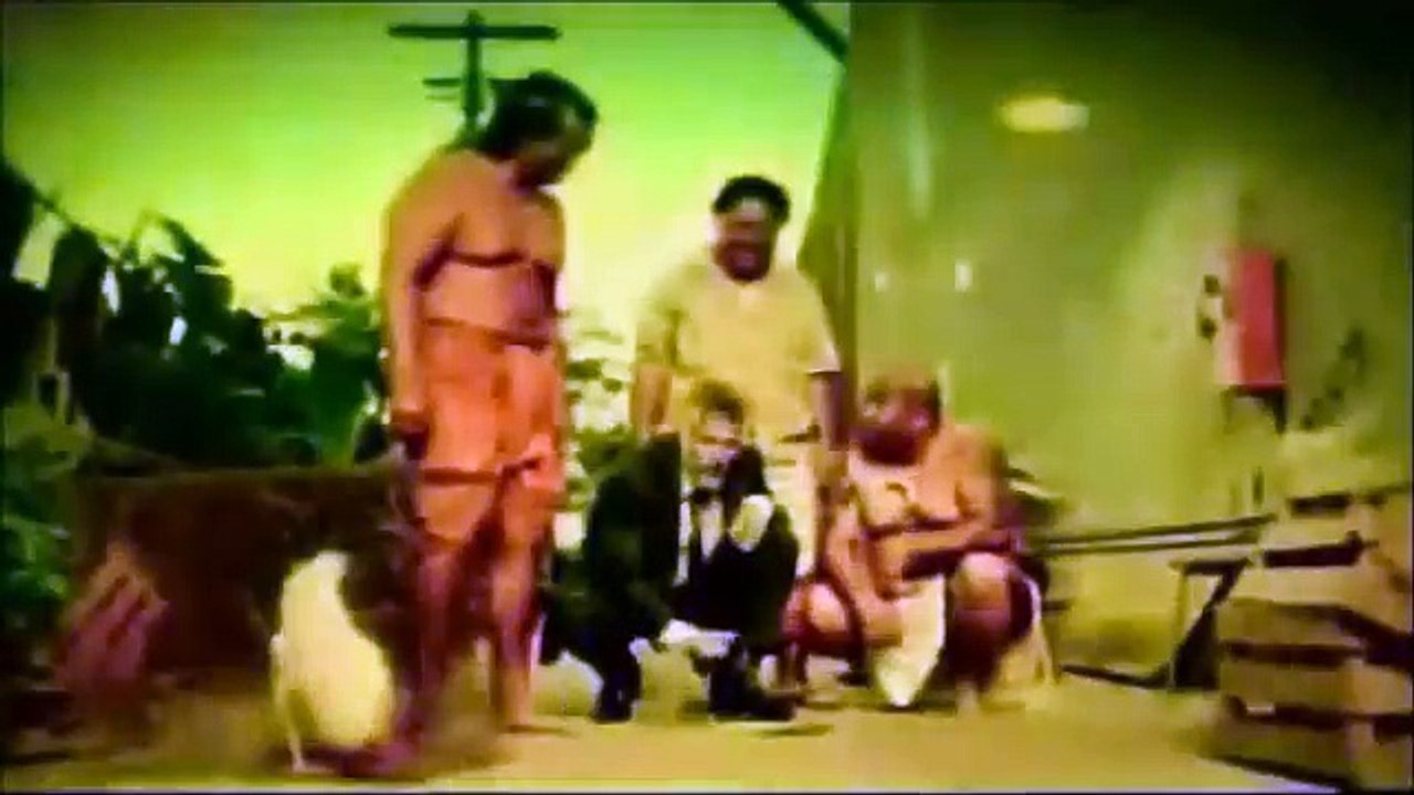The Most Interesting Man In The World ~ Compilation