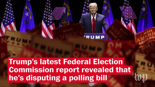 Donald Trump's complicated relationship with the polls