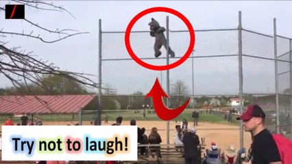 Epic Fail Compilation [NEW] #30  Best Fails/Wins of the year