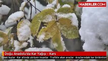 Doğu Anadolu'da Kar Yağışı - Kars