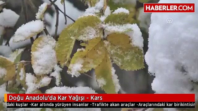 Doğu Anadolu'da Kar Yağışı - Kars