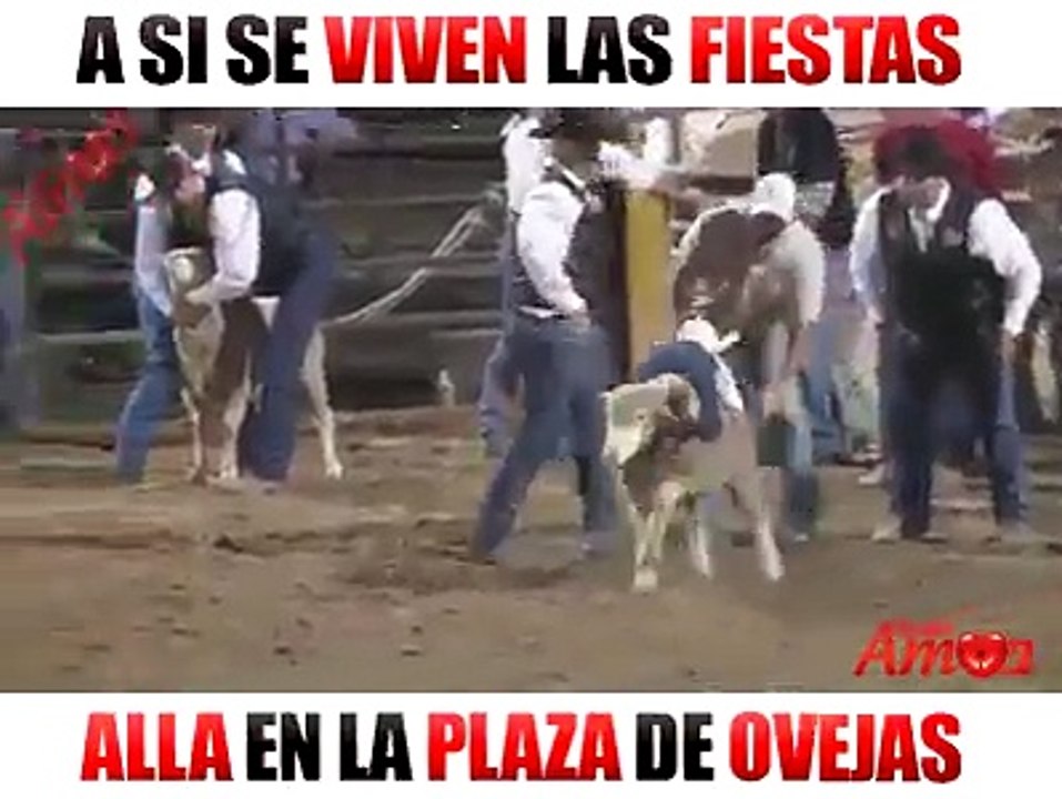 Que opinan De Esto