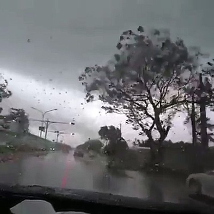 el poder del viento