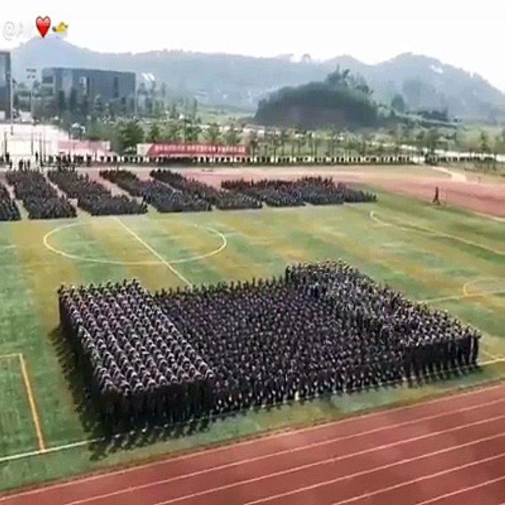 Chorégraphie de dingue