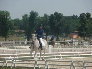 Enzo et moi dressage lamotte photos