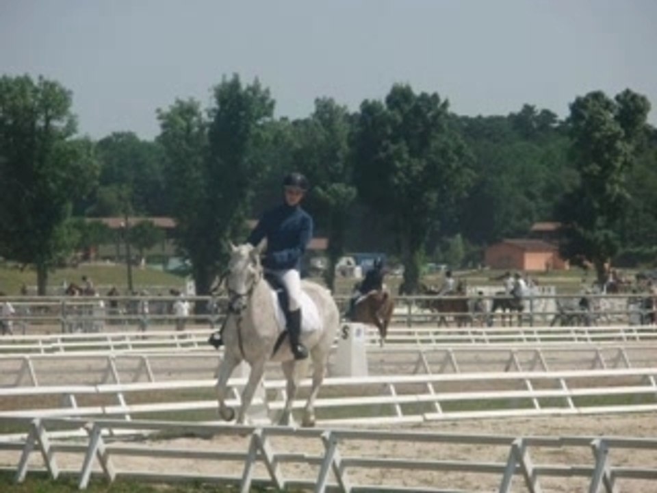 Enzo et moi dressage lamotte photos