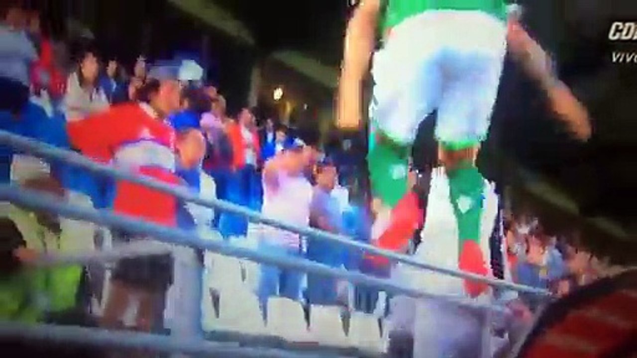 Un footballeur chilien monte dans les tribunes pour frapper un supporter et se fait arrêter par la police