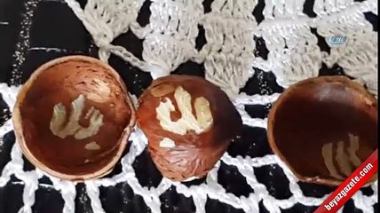 Fındıkta Allah lafzı çıktı