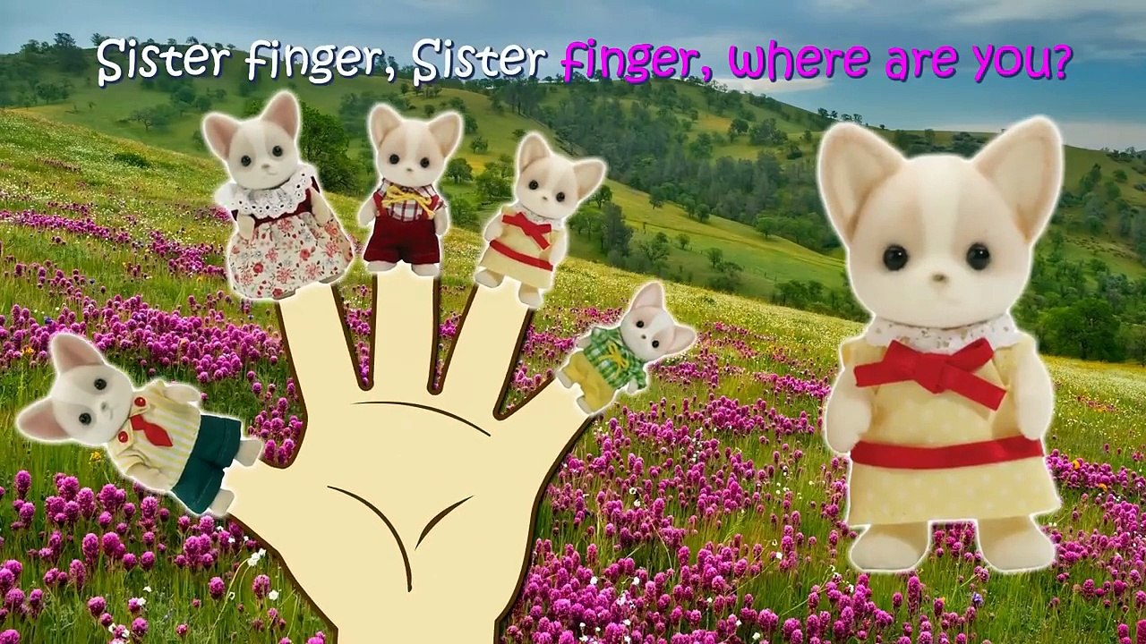 Calico Critters Cloverleaf Corners Chihuahua dog Finger Family / Nursery Rhymes