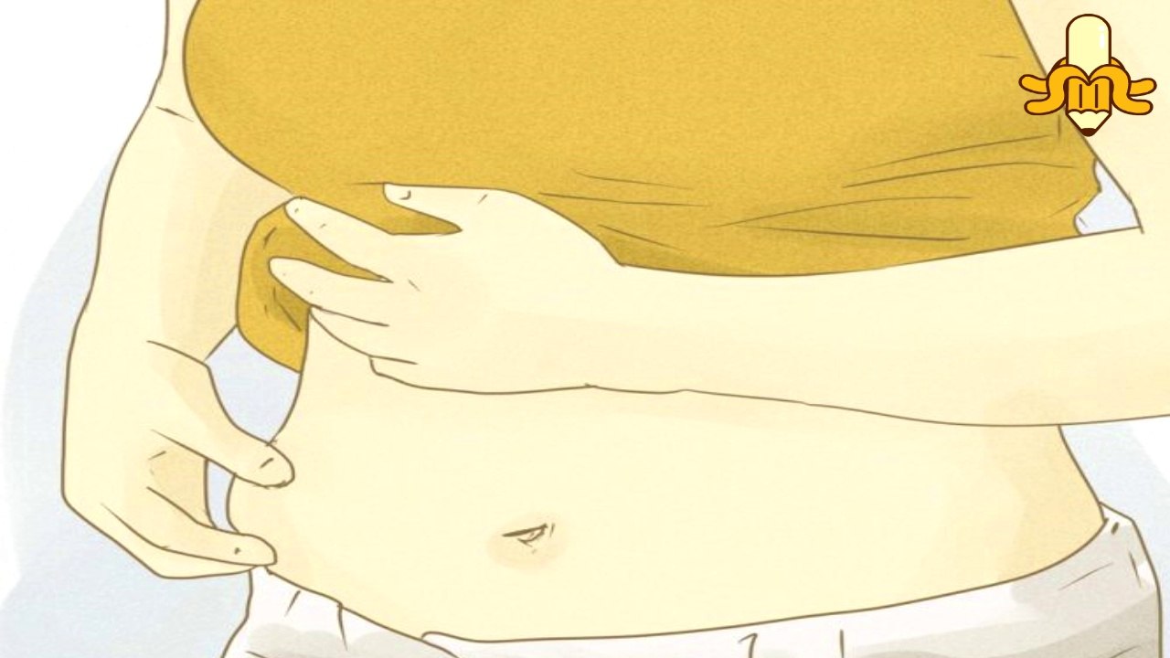 ➥Después de Ver Esto Descubrirás COMO ACELERAR TU METABOLISMO Y PERDER PESO Sin Moverte. ¡FUNCIONA!