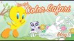 Tweety Bird Flash Games Online! Cartoon Movie games Looney tunes new for kids Tweety Bird Games