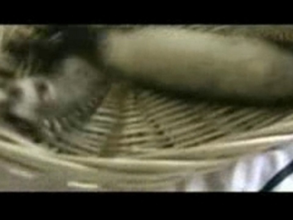 Furet > Chouchou & le panier