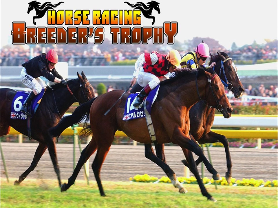 1200x900 horse racing
