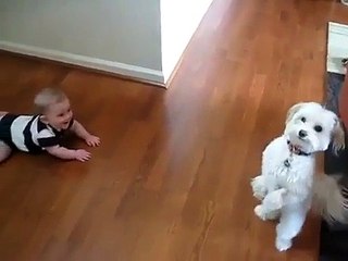 Süper Köpek ve Bebek